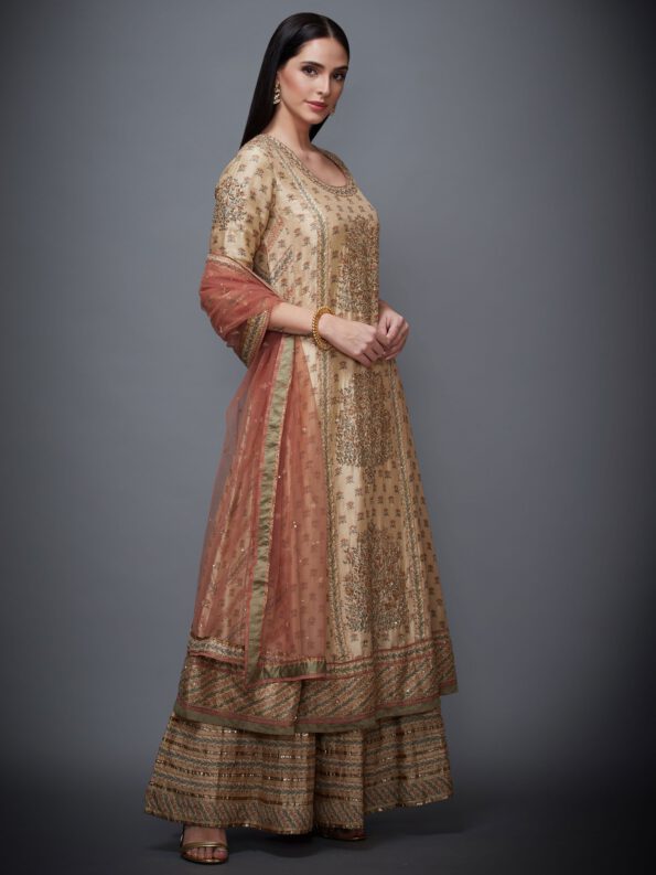 Beige & Rust Embroidered Suit Set